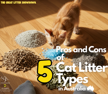 The Great Litter Showdown Pros and Cons of 5 Cat Litter Types in Australia