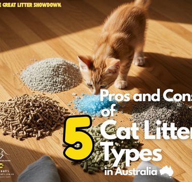 The Great Litter Showdown Pros and Cons of 5 Cat Litter Types in Australia
