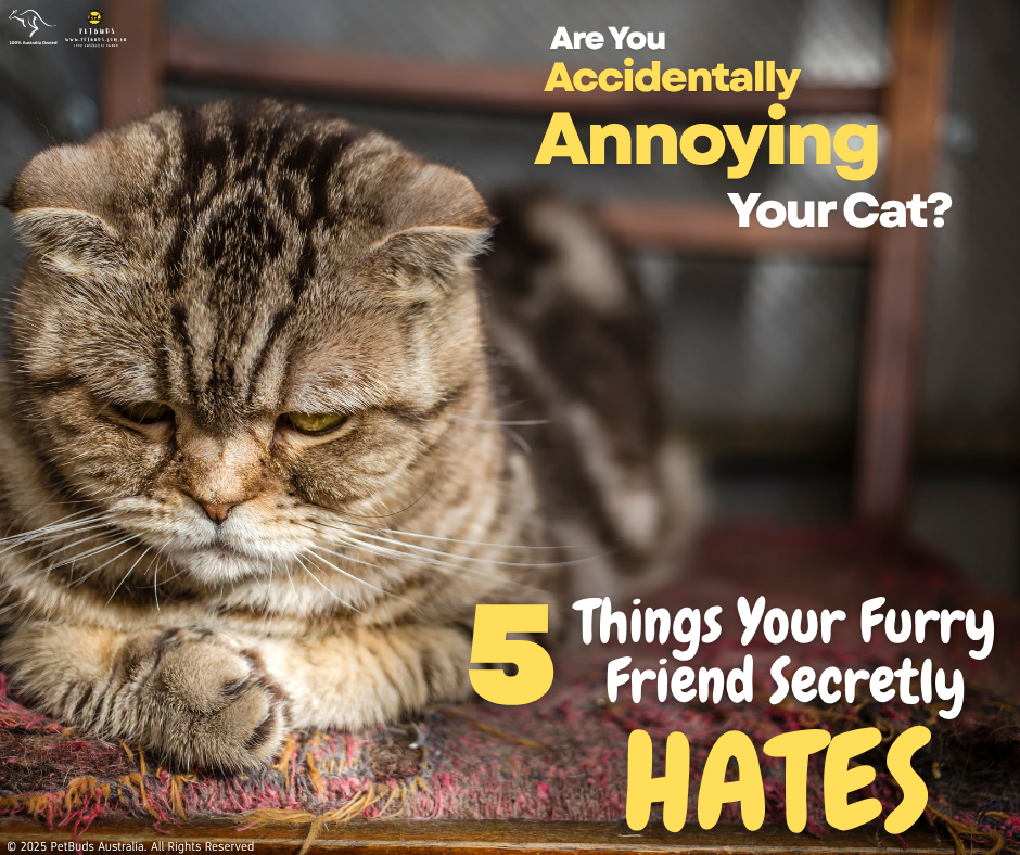 5 things your furry friend secretly hates