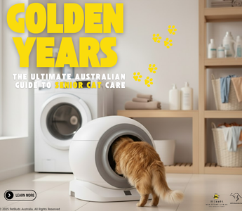 Golden Years, Golden Standards: The Ultimate Australian Guide to Senior Cat Care