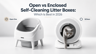 Open vs Enclosed Self-Cleaning Litter Boxes: Which Is Best in 2026?