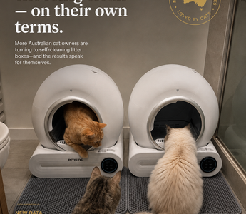 Aussie Cats Are Choosing Clean — On Their Own Terms