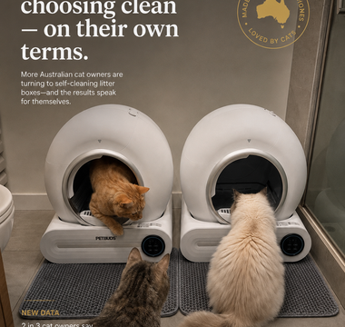 Aussie Cats Are Choosing Clean — On Their Own Terms