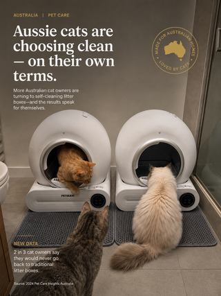 Aussie Cats Are Choosing Clean — On Their Own Terms