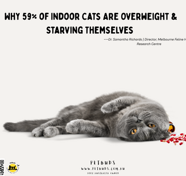 59% of Indoor Cats Are Overweight & Starving Themselves