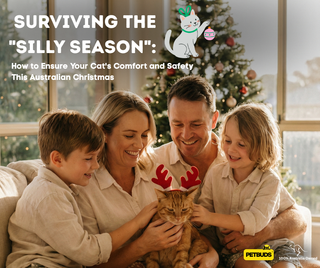Surviving the "Silly Season": How to Ensure Your Cat's Comfort and Safety This Australian Christmas