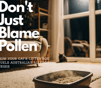 Don't Just Blame Pollen: How Your Cat's Litter Box Fuels Australia's Allergy Crisis