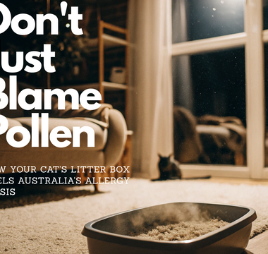 Don't Just Blame Pollen: How Your Cat's Litter Box Fuels Australia's Allergy Crisis