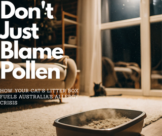 Don't Just Blame Pollen: How Your Cat's Litter Box Fuels Australia's Allergy Crisis