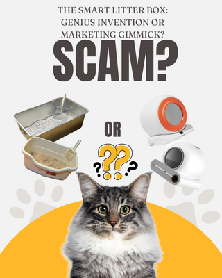 Smart Litter Boxes: Genius Invention or Marketing Gimmick?