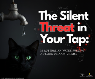 The Silent Threat in Your Tap