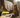 Decoding Your Cat 7 Puzzling Behaviours Explained