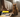 Decoding Your Cat 7 Puzzling Behaviours Explained