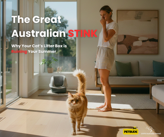 The Great Australian Stink
