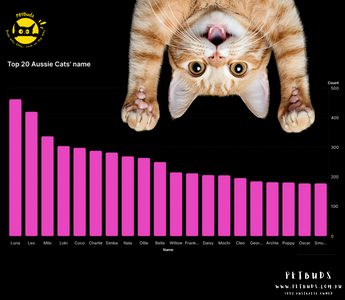 What's in a Name The Official Top Australian Pet Names for 2024