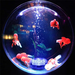 Collection image for: Aquarium