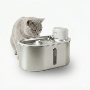 Petbuds Flow Pet Drinking Fountain