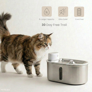 Petbuds Flow Pet Drinking Fountain