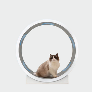 Extra large size Cat Running Wheel for larger Breed