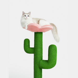 VETRESKA Blooming Cactus Cat Perch