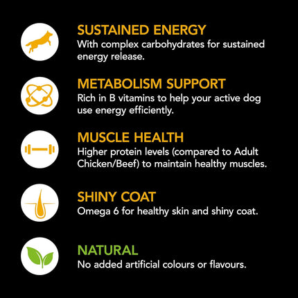 Purina Supercoat Adult Active Beef Dry Dog Food 18 Kg