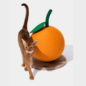 VETRESKA Tangerine Cat Scratching Ball