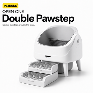 Double Pawstep for Open One