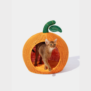VETRESKA Tangerine Rattan Pet Bed