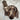 Custom Pet Rugs - Personalised Pet Dog Portrait Rug