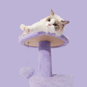 The Lavender Dream Cat Tree