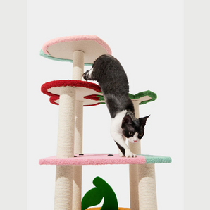 The Fruity Fun Cat Tree