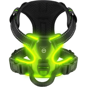 LED Light Dog Harness - Night Walk Safety