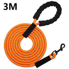 Orange / XXXL