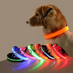 Collection image for: Dog Toys and Accessories