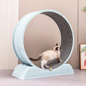 Indoor cat running rollers