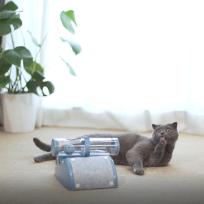 Cat Play Box Kit Pet Toy Kitten Toys Interactive Ball Peek Hunting Toy-Blue