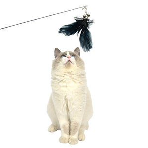 2 X Pet Cat Toys Retractable Feathers Teaser Cat Stick Interactive Play