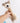 2-Piece Brown Long Neck Plush Dog Toy - Interactive Chew & Cuddle Toy for Puppies