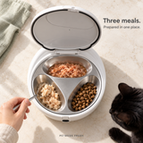 Petbuds Fresh stainless steel tray with three compartments of wet and dry food